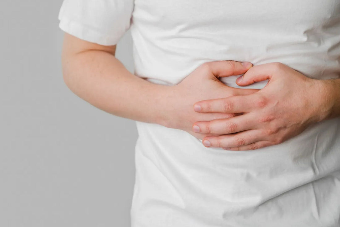 Understanding Probiotics: Benefits for Gut Health and Immunity