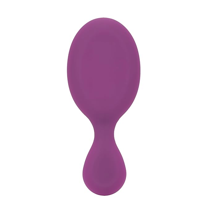 Wet Brush Mini Detangler Hair Brush, Purple Frost, Detangling Travel Hairbrush, Ultra-Soft IntelliFlex Bristles Glide Through Tangles with Ease, Pain-Free, All Hair Types