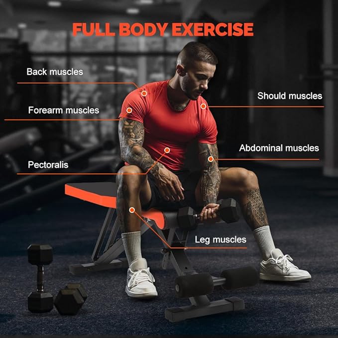 Weight Bench Adjustable Training Bench Full Body Weight