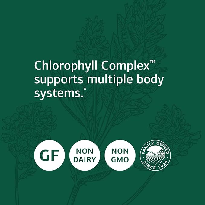Standard Process Chlorophyll Complex - Immune Support, Antioxidant Activity, Skin Health and Hair Health Support with Vitamin A, Sunflower Lecithin, Buckwheat, Spanish Moss, and More - 240 Softgels