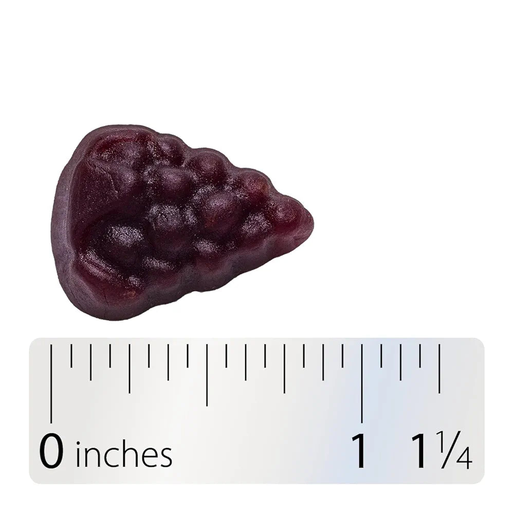 Nature’s Way Sambucus Elderberry Immune Support Gummies for Kids & Adults* with Black Elderberry Extract, Vitamin C, Vitamin D3, and Zinc, 60 Gummies