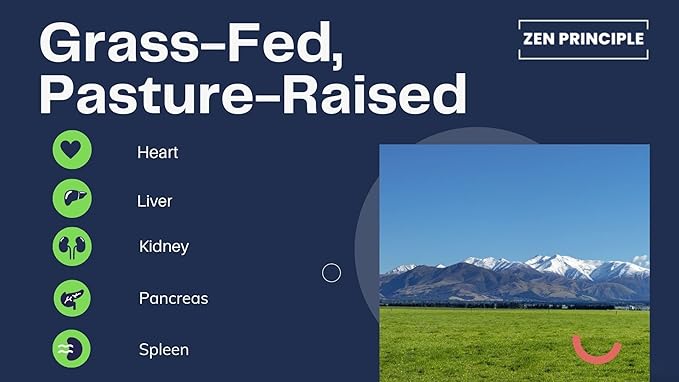 Zen Principle Grass Fed Beef Organs - Desiccated Liver, Heart, Kidney, Pancreas, Spleen, Intestine, Tripe/Stomach. Beef Organ Supplements 2-Pack