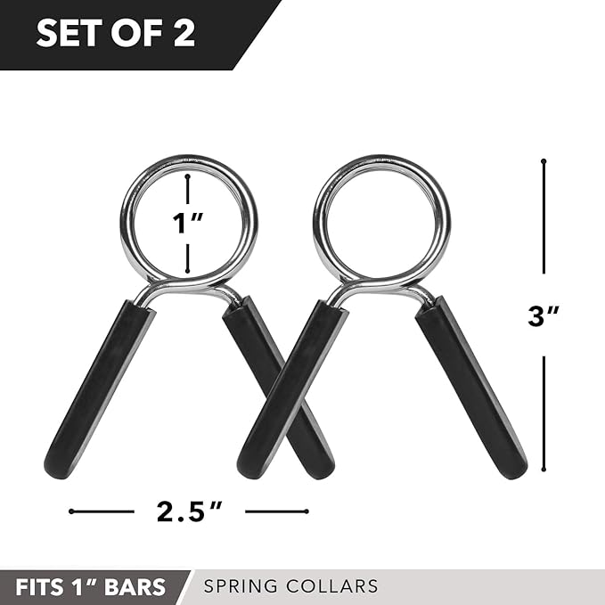 Day 1 Fitness Spring Clips 2 – 1” for 2” for