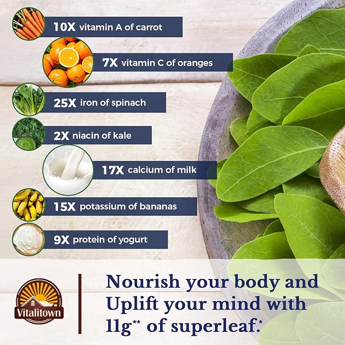 Vitalitown Moringa Capsules 11,000 MG, Pure Moringa Supplement, Green Moringa Leaves, No Sticks, No Caffeine, Moringa Oleifera, Energy, Appetite, 90 Capsules