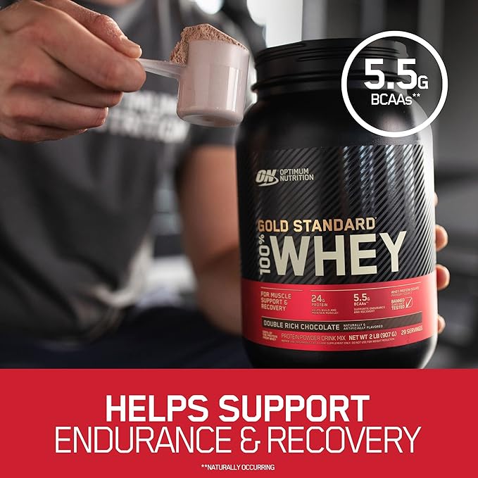 Optimum Nutrition Gold Standard 100% Whey Protein Powder, Double Rich Chocolate, 1 Pound