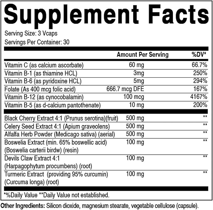 Best Naturals Uric Acid Cleanse Vitamins for Men and Women - 90 Veggie Capsules (90 Count (Pack of 3))