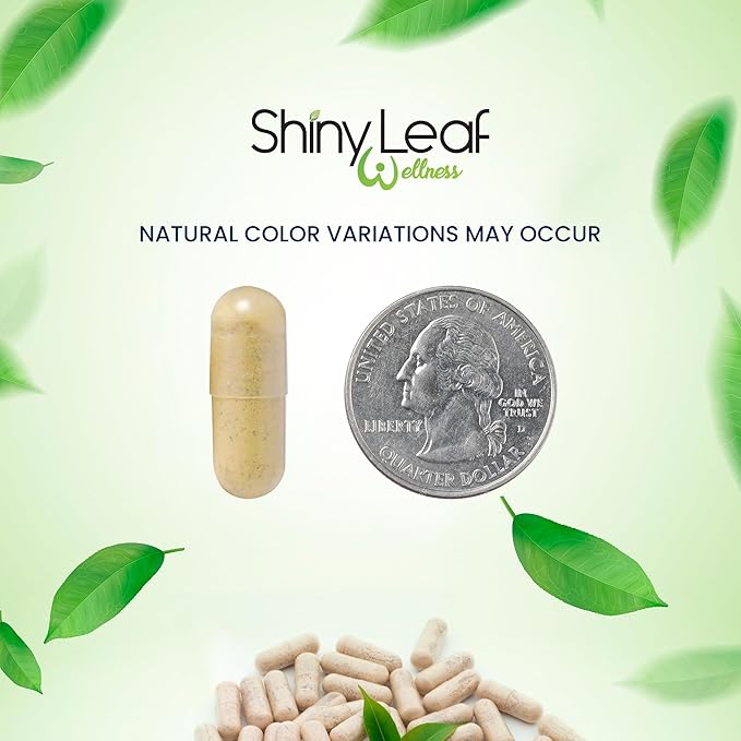 Shiny Leaf Bariatric Multivitamin with Iron - 45mg Iron, 360 Capsules, Post WLS Support, for Gastric Sleeve, Bypass and Mini Bypass, High Potency Daily Vitamins, for Women and Men,1 Year Supply