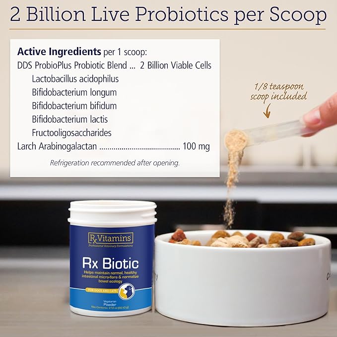 Rx Vitamins Rx Biotic - Probiotic Powder for Dogs and Cats - Cat Digestive Support & Probiotic for Dogs Gut Health - Cat Probiotics for Indoor Cats - Dog Probiotics for Digestive Health - 2.12oz