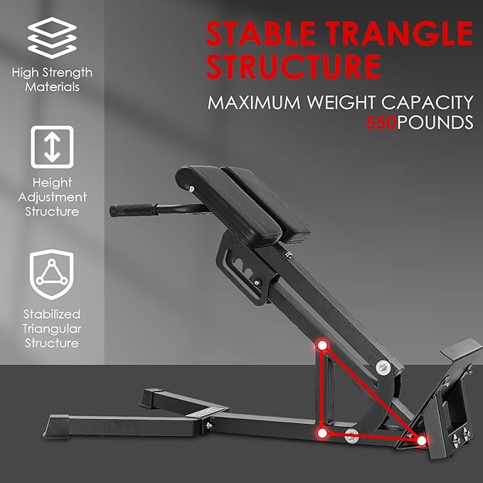 FANATICS Roman Chair Hyperextension Bench Chair