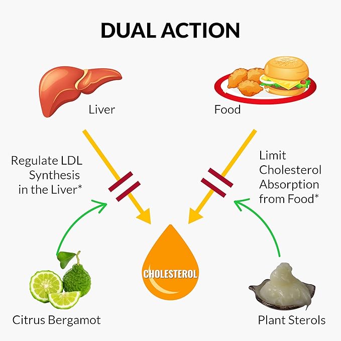 UpNourish Citrus Bergamot, Plant Sterols and Stanols Supplement, Support Heart Health with CoQ10, Omega 3, Olive Leaf Extract, Turmeric Curcumin, Black Garlic and Niacin - 120 Softgels