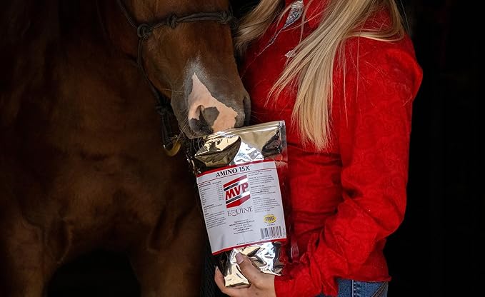Amino 15X (3 lb) -Supports Healthy Muscle Function, Development and Repair in Horses