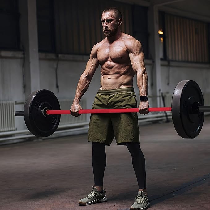Olympic Barbell Curl Bar EZ Bar Strength Training