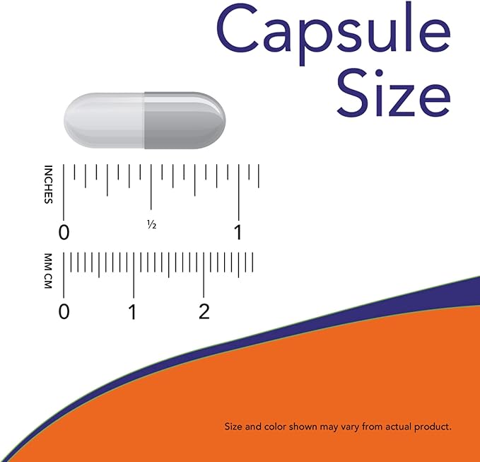 NOW Foods Now Acetyl L Carnitine 500mg, 360 Veg Caps (Pack of 2) - Non-GMO ACL 500 mg Capsules Supplement for Men and Women