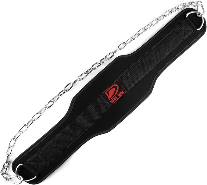Dip Belt - Strength Nylon Dip Belt -
