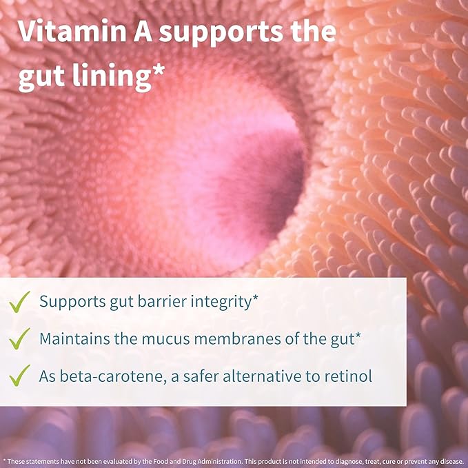 Live Cultures+ Lab4 Probiotics & Prebiotic, Lactobacillus Acidophilus & Bifidobacterium, Guaranteed 25 Billion CFU,Vegan, Non-Bloating Gut Health Support, Non-GMO, 30 Capsules, by Igennus