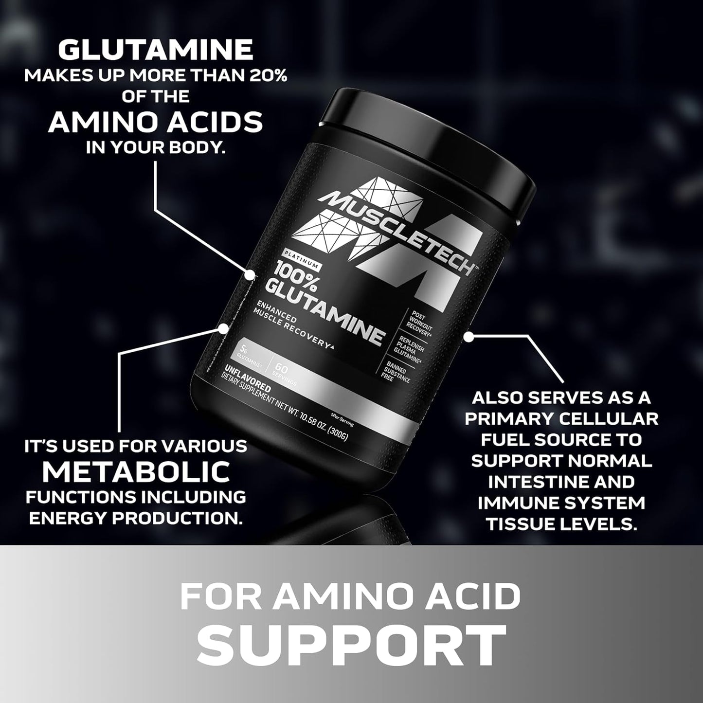 Glutamine Powder | MuscleTech 100% Pure L Glutamine Powder | Post Workout Recovery Drink | L-Glutamine Powder for Men & Women | Muscle Recovery | Unflavored (60 Servings)