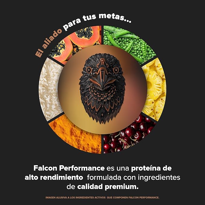 BIRDMAN Falcon Performance Premium Sport Protein Powder Plus Creatine, 31g Protein and 5g Creatine per Serving, No Inflammation, No Acne, Chocolate Flavor | 1.9Kg