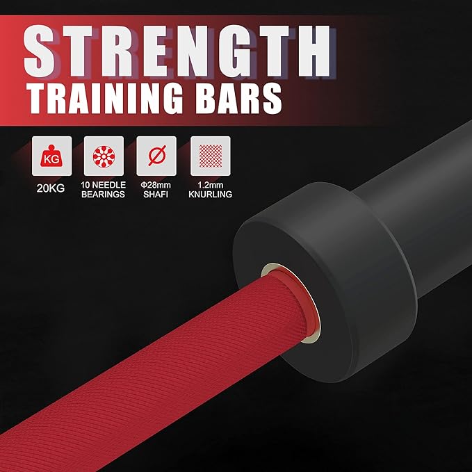 Olympic Barbell Curl Bar EZ Bar Strength Training