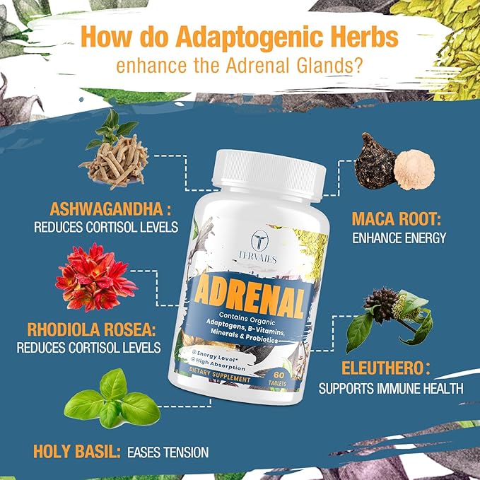 Adrenal Support Adaptogens Herbs Supplements - Cortisol Supplement with Rhodiola Rosea, Ashwagandha, Holy Basil and Eleuthero-Mood and Energy Support for Women & Men-Non-GMO, 120 Vegan Tablets