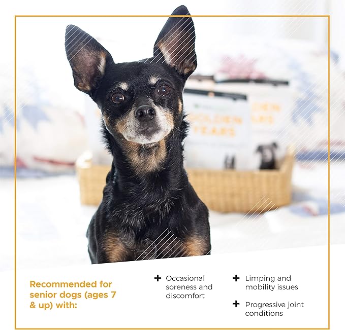 VetriScience Golden Years Strength and Stability Hip and Joint Chews for Senior Dogs, Chicken, 60 Chews - Limping, Mobility, Running and Jumping Support for Senior Dogs