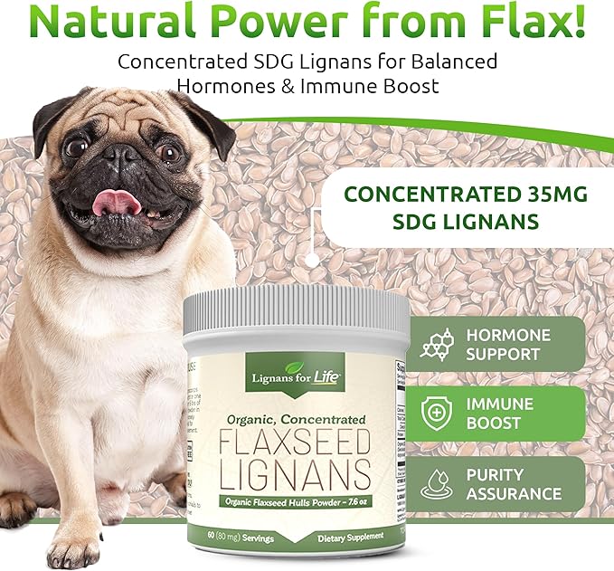 Lignans for Life - Natural Bulk Ground Flaxseed Powder - Omega 3 & 6 Fatty Acids Filled High Fiber Antioxidants - Support Healthy Heart & Hair, Healthy Immune System - 60 Servings 80mg per tab, 1 Pack