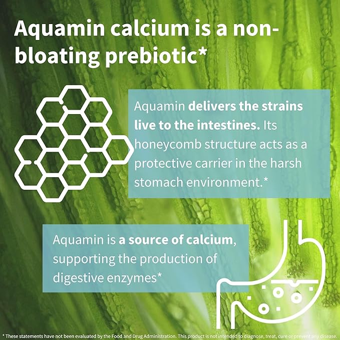 Live Cultures+ Lab4 Probiotics & Prebiotic, Lactobacillus Acidophilus & Bifidobacterium, Guaranteed 25 Billion CFU,Vegan, Non-Bloating Gut Health Support, Non-GMO, 6 x 30 Capsules, by Igennus