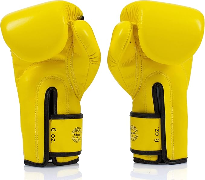 Fairtex Muay Thai Boxing Gloves for Men, Women, Kids | MMA Gloves, Kickboxing, Gym, Workout | Premium Quality, Light Weight & Shock Absorbent Boxing Gloves - BGV14, BGV11, BGV18, BGV20, BGV25