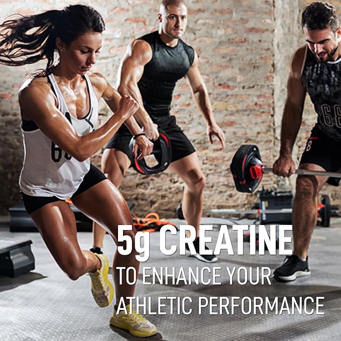 LeanFit Sport CREATINE MONOHYDRATE Powder, Unflavored - Informed Choice Certified, Micronized & Pharmaceutical Grade Creatine, Gluten-Free, Vegan – 5g Creatine Per Serving, 100 Servings, 17.64oz Tub