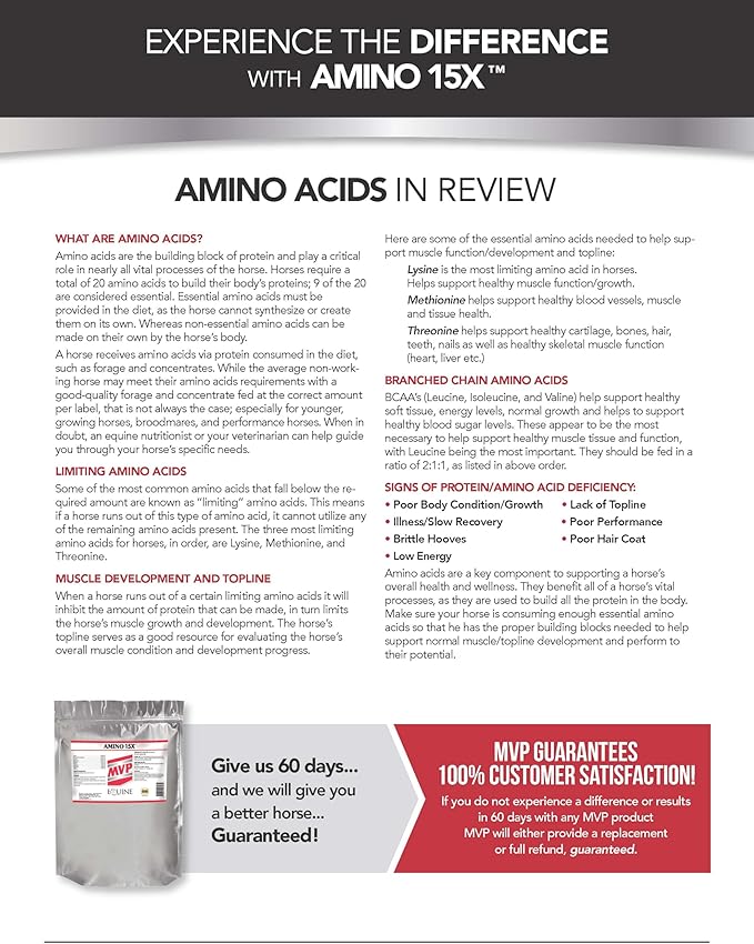 Amino 15X (3 lb) -Supports Healthy Muscle Function, Development and Repair in Horses