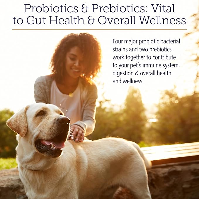 Rx Vitamins Rx Biotic - Probiotic Powder for Dogs and Cats - Cat Digestive Support & Probiotic for Dogs Gut Health - Cat Probiotics for Indoor Cats - Dog Probiotics for Digestive Health - 2.12oz
