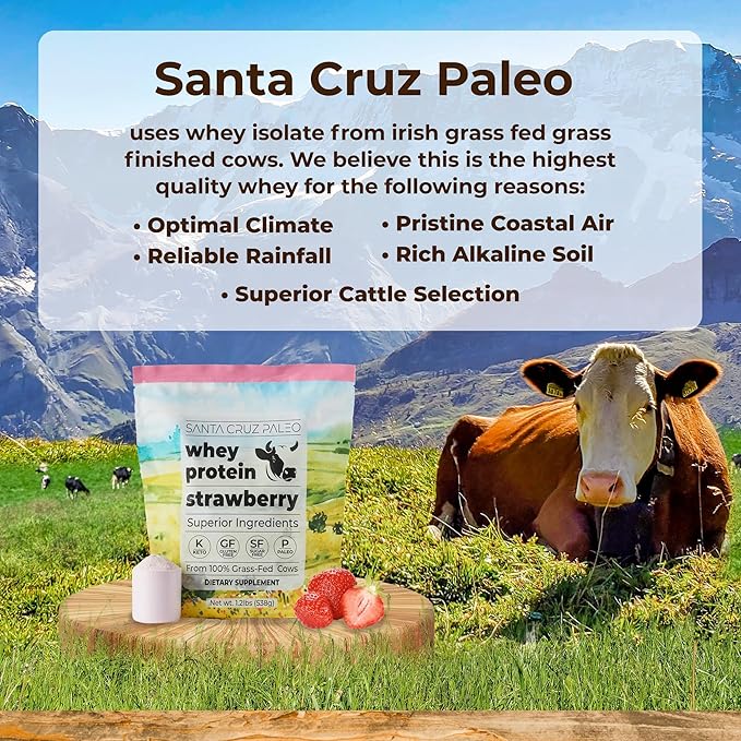 Santa Cruz Paleo Whey Protein (Strawberry)
