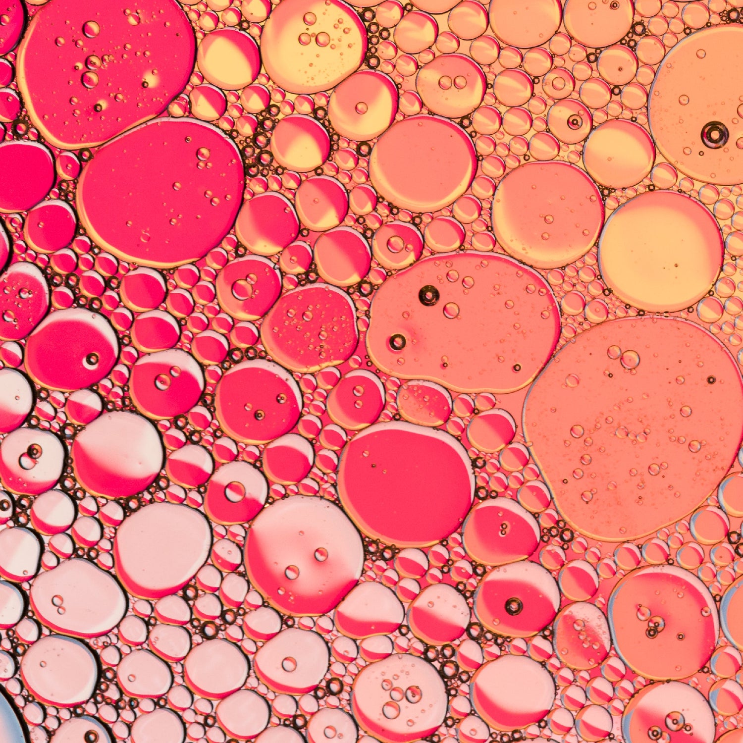 Pop Cysteine