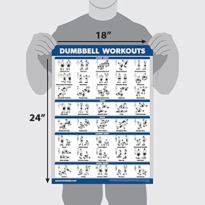 Palace Learning 4 Pack - Dumbbell, Barbell, Bodyweight & Kettlebell Workouts - Set of 4 Laminated Charts (18” x 24”)