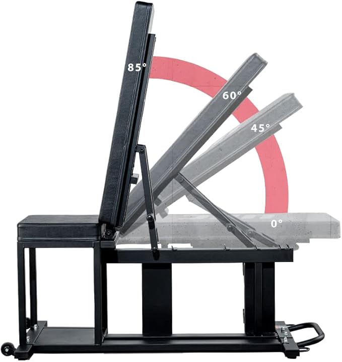 UFC Zone+ Weight Bench