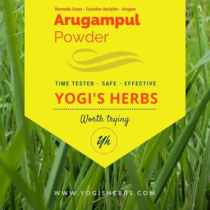 Arugampul Powder (Bermuda Grass/Cynodon dactylon) – Natural Detox & Digestive Support – 100% Pure Herbal Supplement for Immunity, Skin Health, and Overall Well-Being (8 oz)