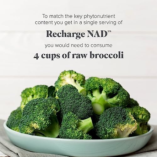 Isagenix Recharge NAD - Cellular Detox, Comprehensive Healthy Aging, and Energy Support - 1 Bottle - 60 ct Targeted Release Capsules
