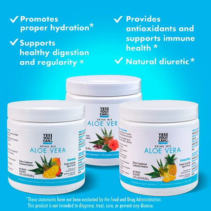 Yes You Can! Detox Plus Kit (Meal Replacement Strawberry, Aloe Vera Hibiscus) - Complete Meal Replacement Powder, High Energy Shake Booster, Aloe Vera Detox Supplement, Health Transformation