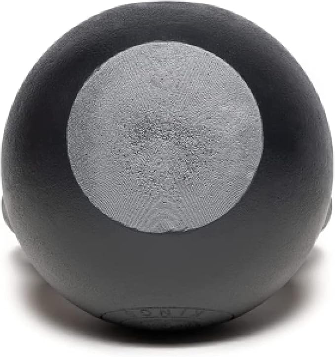 Kettlebell Kings Powder Coated Kettlebell Weights 5-90 LB