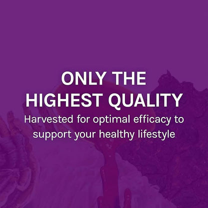 Host Defense MyCommunity Capsules - 17 Species Blend Mushroom Supplement for Immune Support - Herbal Aid with Lion's Mane, Reishi. Chaga, Cordyceps, Turkey Tail & More - 60 Capsules (30 Servings)*
