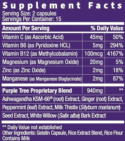 purple tree Next Day, Post-Celebration Wellness - Take Tomorrow | Replenish & Feel Your Best | Ashwagandha, Ginger, Peppermint, Milk Thistle, Electrolytes, Vitamins, 30 Pills