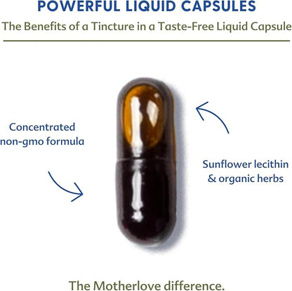 Motherlove Goat’s Rue (120 Liquid caps) Lactation Supplement for Breast Tissue Development & Supporting Breast Milk Supply —Non-GMO, Organic Herbs, Vegan, Kosher, Soy-Free
