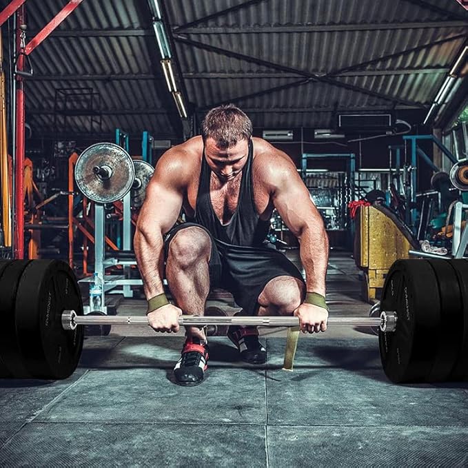 GYMENIST Bumper Plates is Made for 2 Inch 10 LB 55 LB