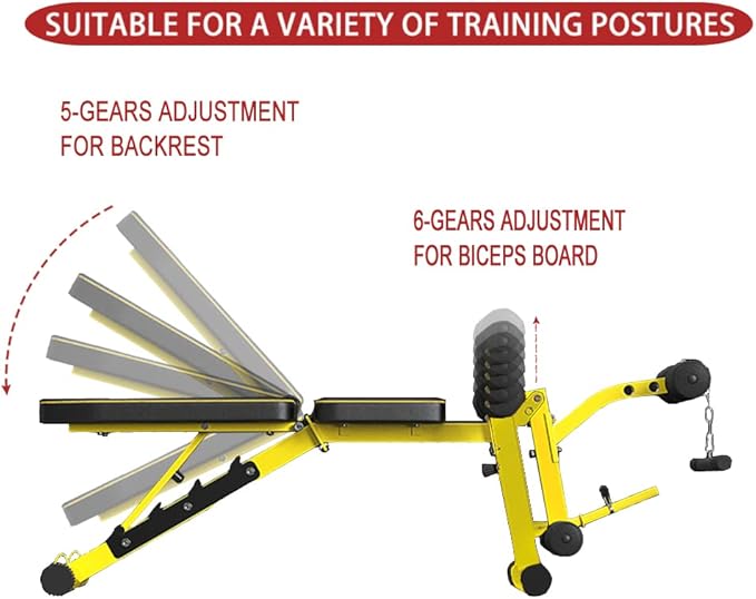 Utility Weight Bench with Leg Extension - Multi-Position