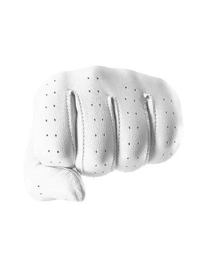 Vice Golf Men's Pure Golf Glove