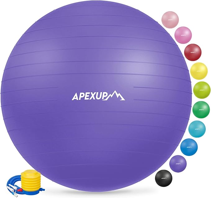 APEXUP Yoga Ball Exercise Ball