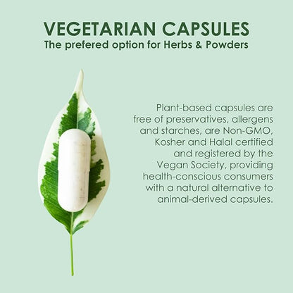 Size 00 Empty Vegetarian Capsules (HPMC) 1,000 Count