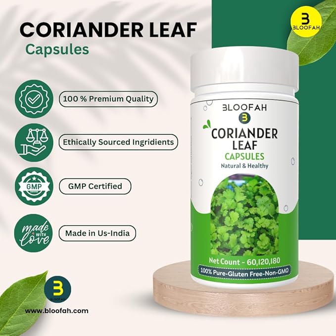 Coriander Leaf Capsules 500mg - 120 Count | 100% Pure Coriander Extract 10:1 (Coriandrum sativum) Leaf Powder Supplement | Natural Body Cleansing & Detox | Non-GMO, Gluten Free Formula