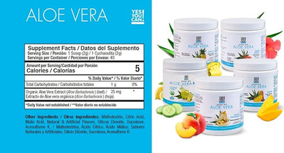Yes You Can! Detox Plus Kit (Meal Replacement Strawberry, Aloe Vera Hibiscus) - Complete Meal Replacement Powder, High Energy Shake Booster, Aloe Vera Detox Supplement, Health Transformation