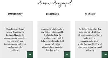 Arugampul Powder (Bermuda Grass/Cynodon dactylon) – Natural Detox & Digestive Support – 100% Pure Herbal Supplement for Immunity, Skin Health, and Overall Well-Being (8 oz)