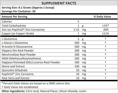 TERRA ORIGIN Healthy Gut Powder (Berry Flavor) |30-Servings with L-Glutamine, Zinc, Glucosamine, Slippery Elm Bark, Marshmallow Root and More!